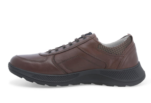 Melluso Uomo Scarpe basse Pelle U41109D-232999 Marrone